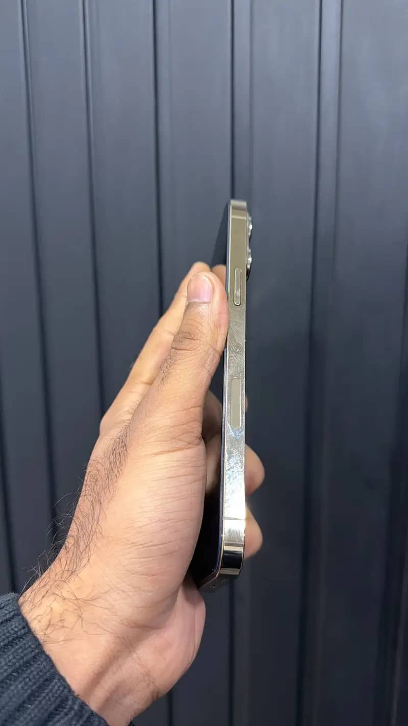 Apple iPhone 13 Pro Max 2