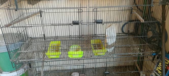 Cage for sale 2 by 2 (8 khane) and Love bird box 25