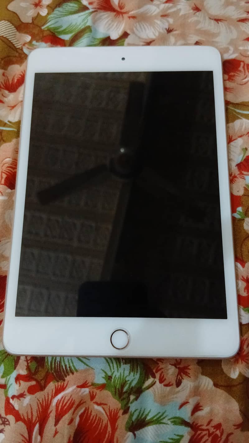 ipad mini 5 1