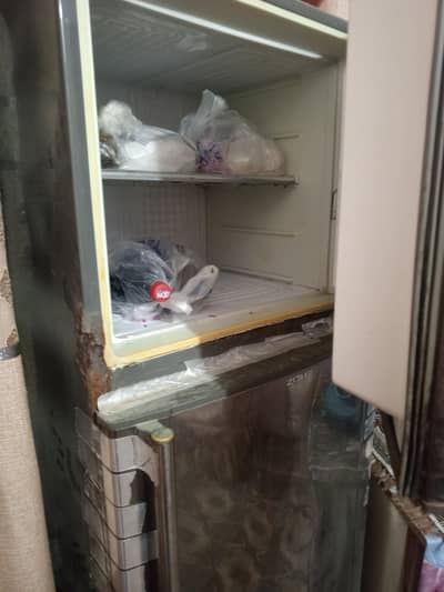 dawalance fredige large size h