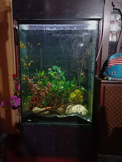 TOWER FISH AQUARIUM BEAUTIFUL WITH BLACK SAND