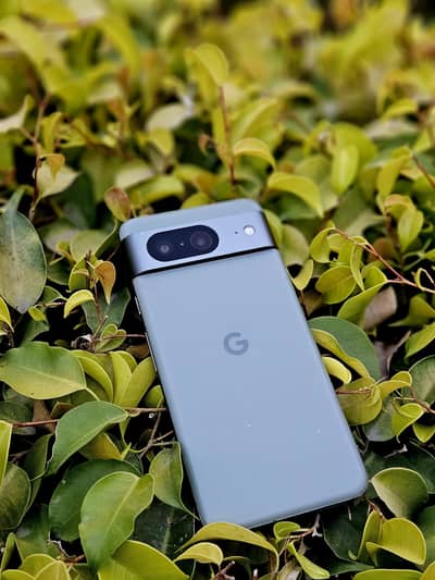 Google pixel 8 PTA Proved Exellent Condition Sale & Exchanged Possible