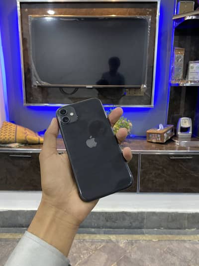 iPhone 11 water pack 70% health