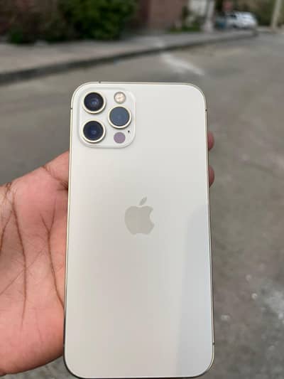 iphone 12 pro dual sim pta approved