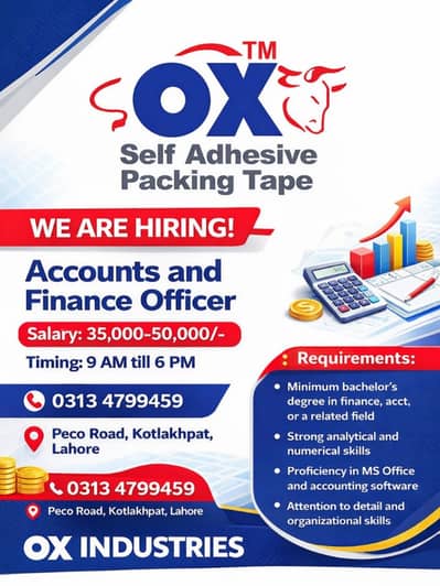 Accounts and Finance officer