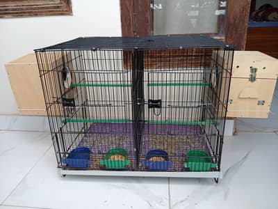 roseicollis lovebird with cage