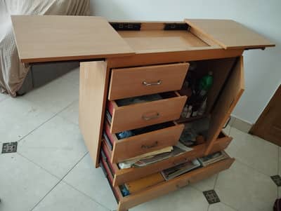 Moveable Cabinet for painting