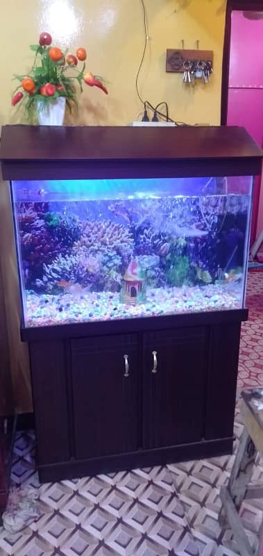 Gulistan-e-Jauhar - Block 19 Flat Sized 900 Square Feet Is Available