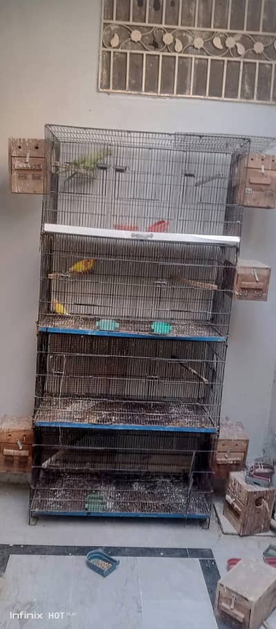 cage for sale