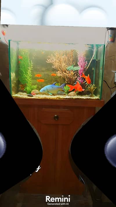 aquarium 3/4 ft ka ha