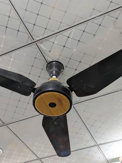 Ceilling Fan