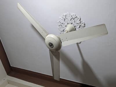 Ceiling fan 56 inch