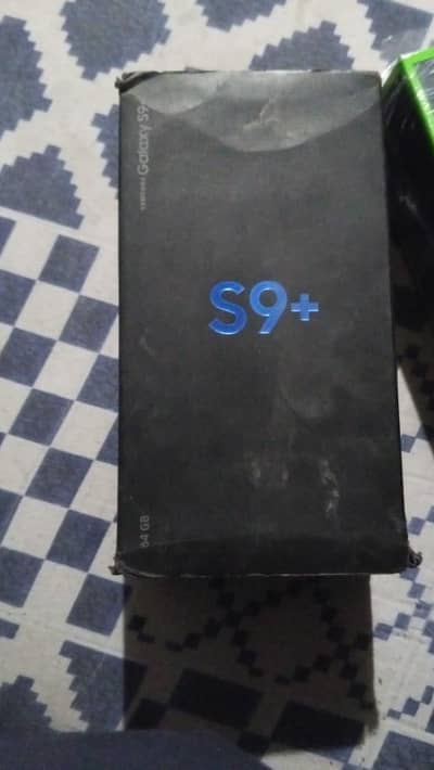 front back brackd official pta approved