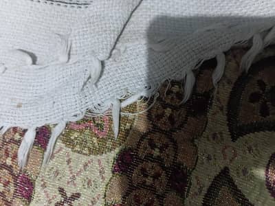 needs good breed for free