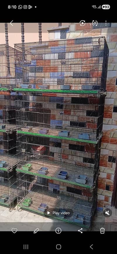 Master 8 portion cage