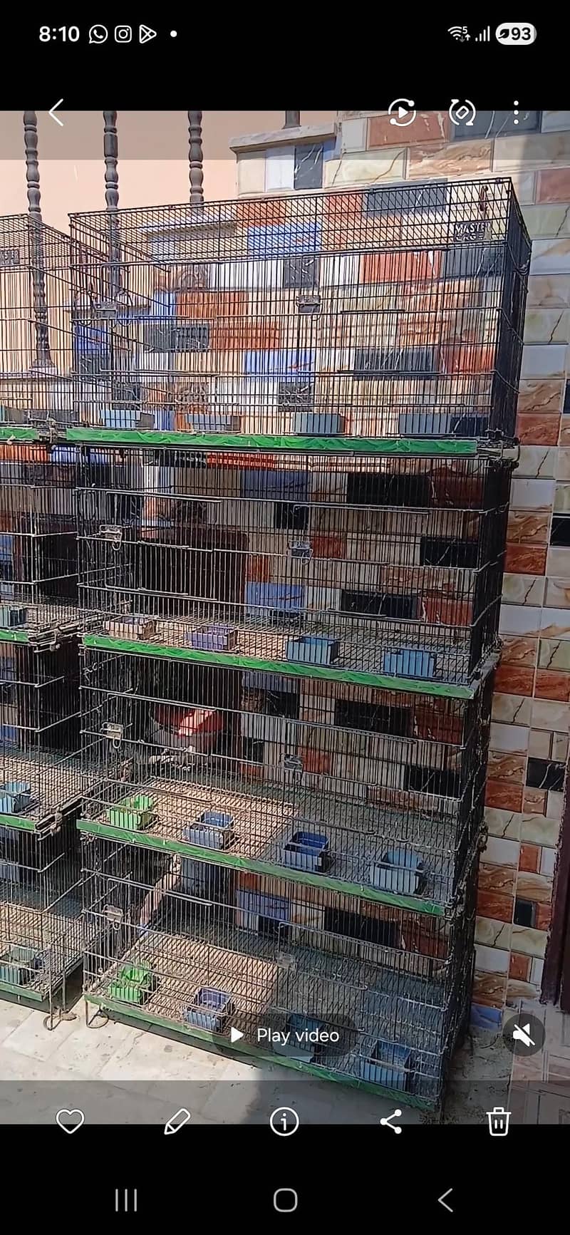 Master 8 portion cage 0