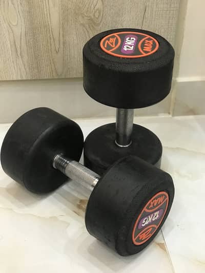 12KG DUMBBELL PAIR