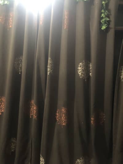 Dark brown curtain