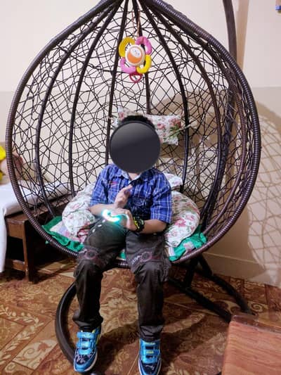 Egg shape hanging chair with cushion,  Egg shape hanging jhoola/swing
