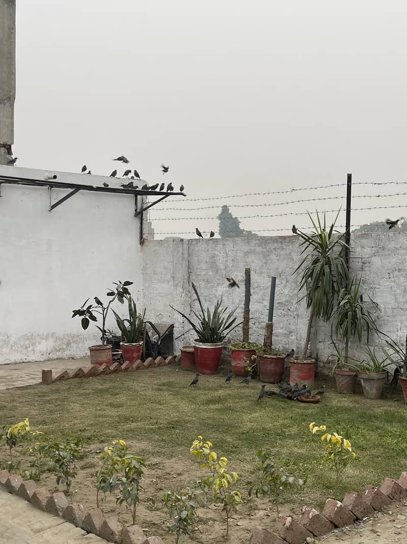 Workshop and Detailing Studio 4