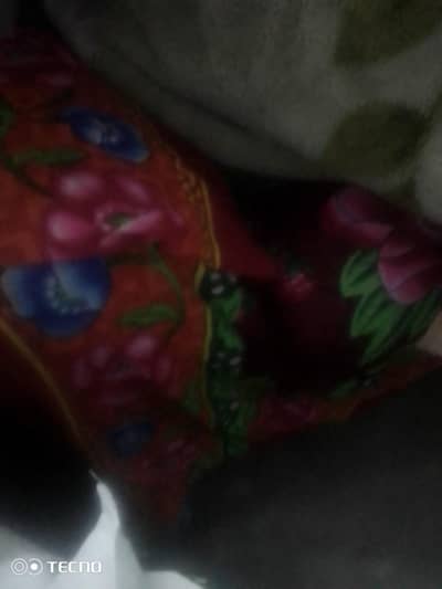 sofa cum bed for sale