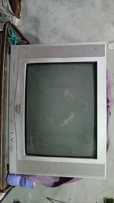 singer Ka TV h bilkol ok h