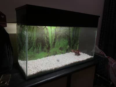 3 feet aquarium > Read add