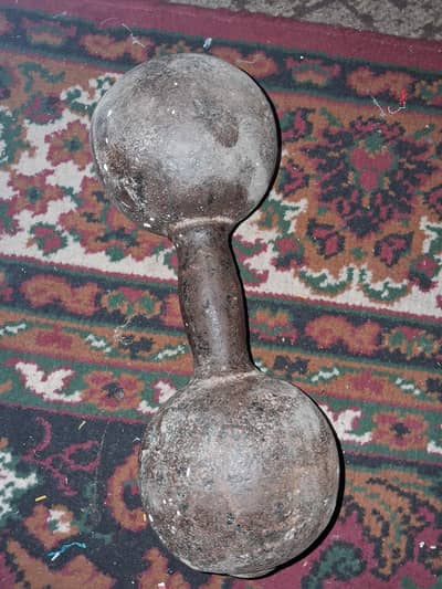 15 kg iron dumbbell.