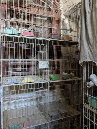 8 portion cage box option tray and everything all ok