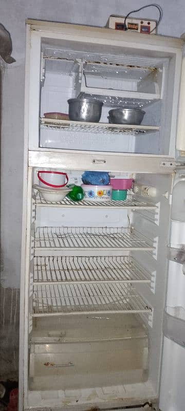 Fridge 1
