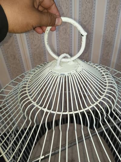 Round Fancy Cage. Beat for Raw and African Grey Parrots