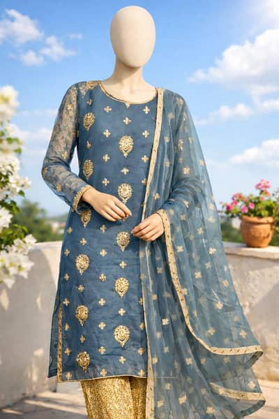 3 piece Georgette/shiffon embroidered dress- pre loved