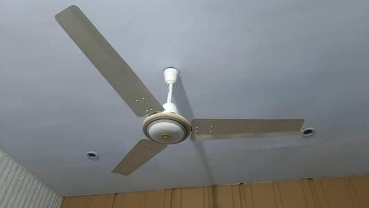 cieling fan copper viring me he 10/10 bilkul ok he  5 fans hain 5000 /