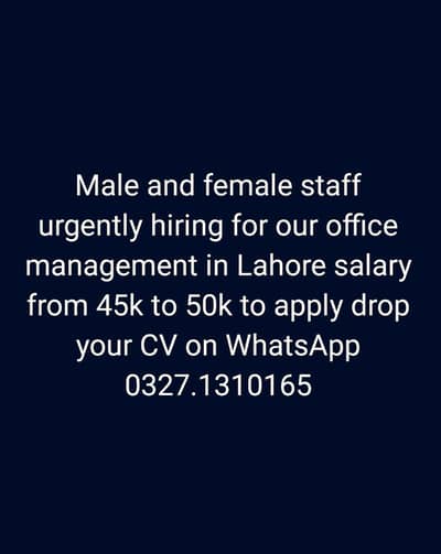 required staff for data entry and management