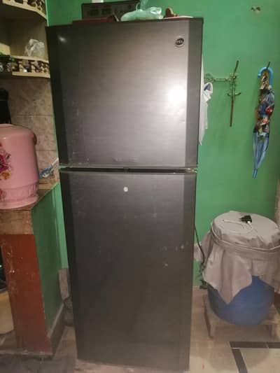 company pel medium size condition 10/9