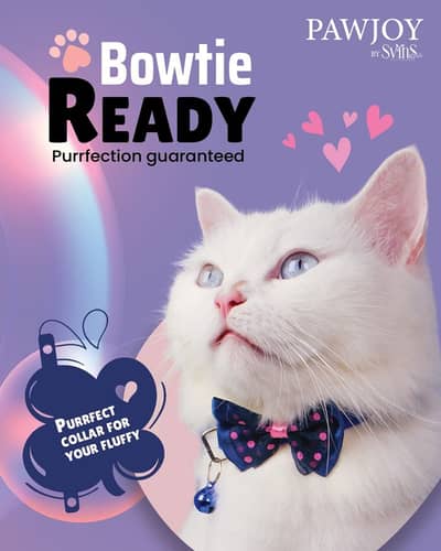 "Female Kitten, 15 Months, Triple Coat "