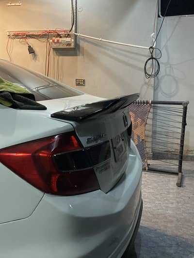 Ducktail Rebirth Fiber