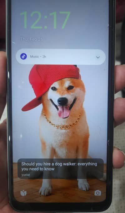 Xiaomi Redmi A2+ 3/64gb light green wd charger