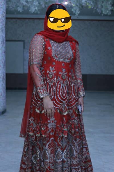 Elegant Heavy Embroidered Organza Maxi Set