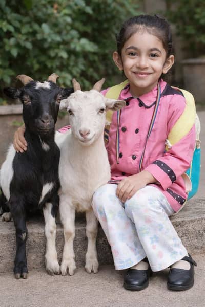 Posters, Thumbnail, Logo designs old picture convert in new , Ai Photo