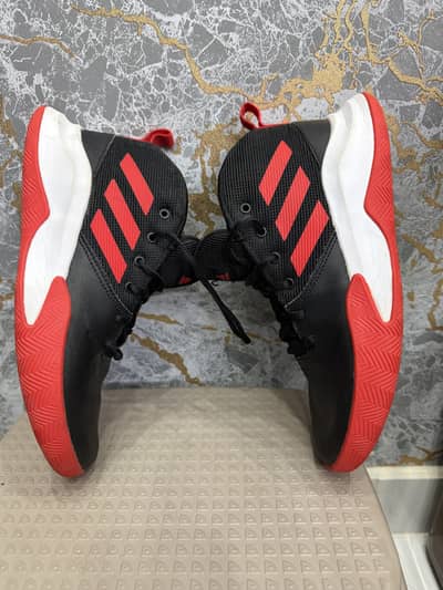 Adidas Shoes