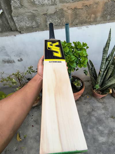 Hard Ball Bat | Cricket Bat