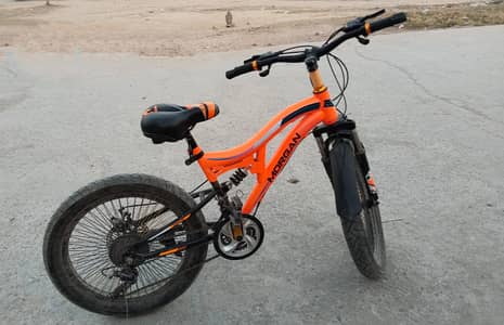 New cycle 2 week used only