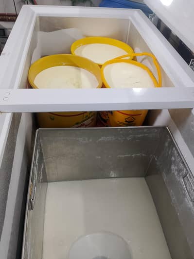 Haier Deep Freezer 100% Working – Urgent Sale”