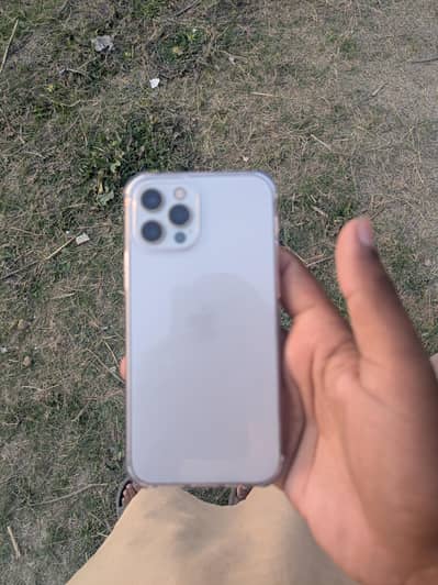 iphone 12 pro pta official approve