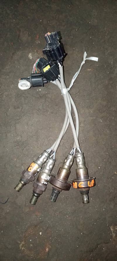 oxygen sensor