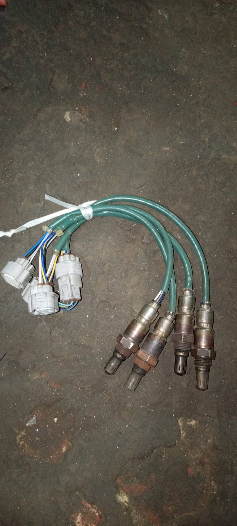 oxygen sensor 1
