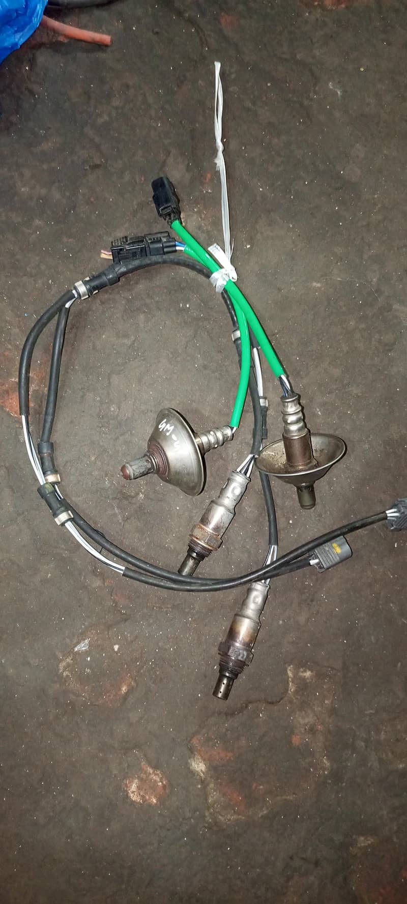oxygen sensor 3