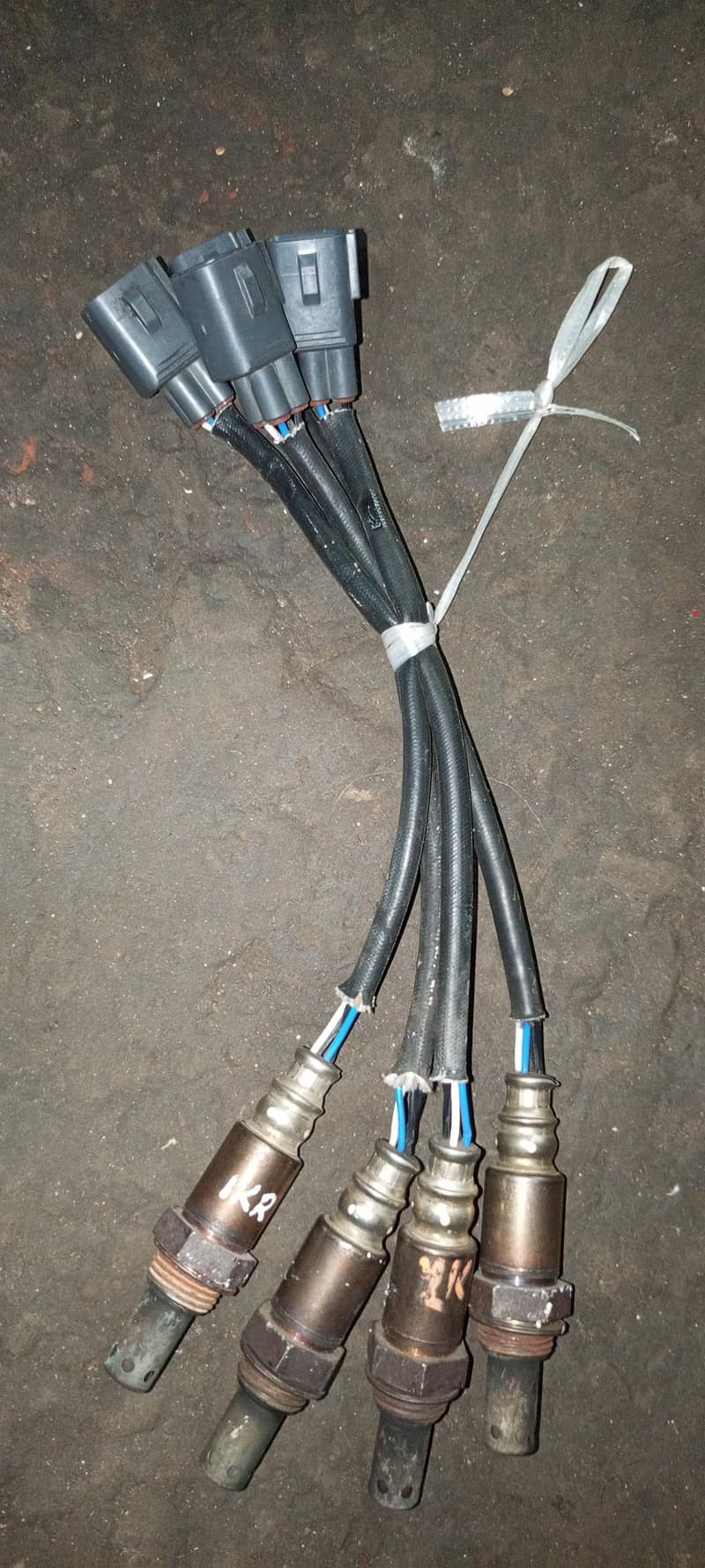 oxygen sensor 5