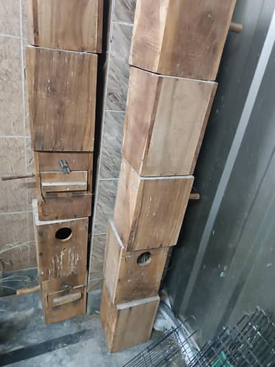 kicker breeding boxes